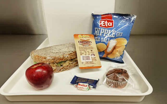 Picnic lunch with sandwich, apple, chips, cheese crackers, chocolate, and muffin for Milford Sound tour.