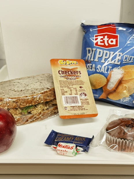 Picnic lunch with sandwich, apple, chips, cheese crackers, chocolate, and muffin for Milford Sound tour.