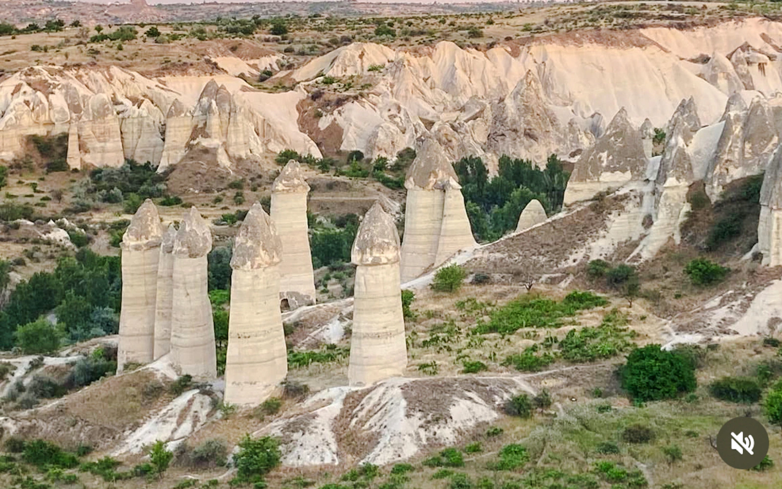 Fairy chimneys in Cappadocia landscape during private tour with English and Japanese guide.
