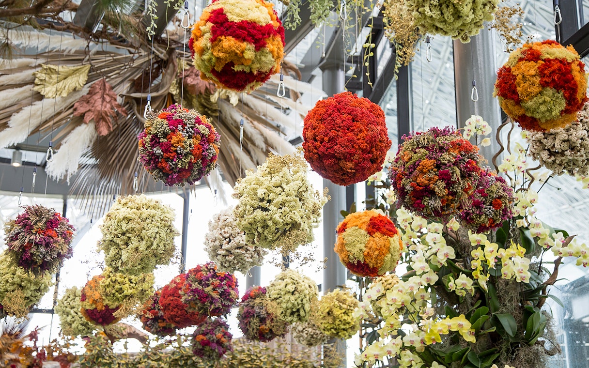 Hanging floral arrangements in Singapore's Gardens by the Bay Flower Dome.