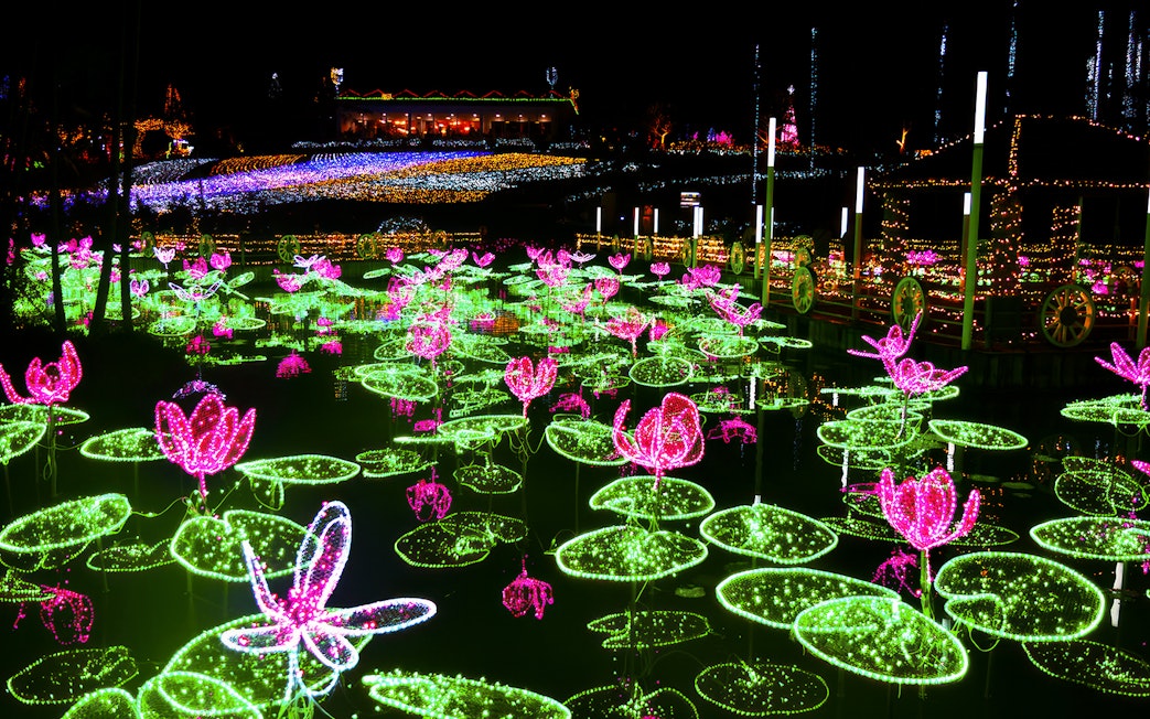 Illuminated lotus flowers at night in Southeast Botanical Gardens, Japan.