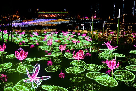 tickets to southeast botanical gardens-7