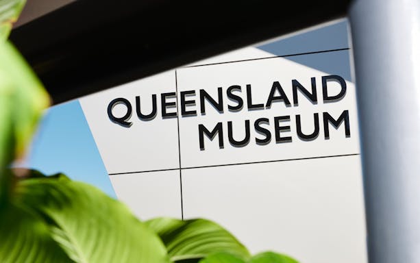Queensland Museum entrance sign with greenery in foreground.