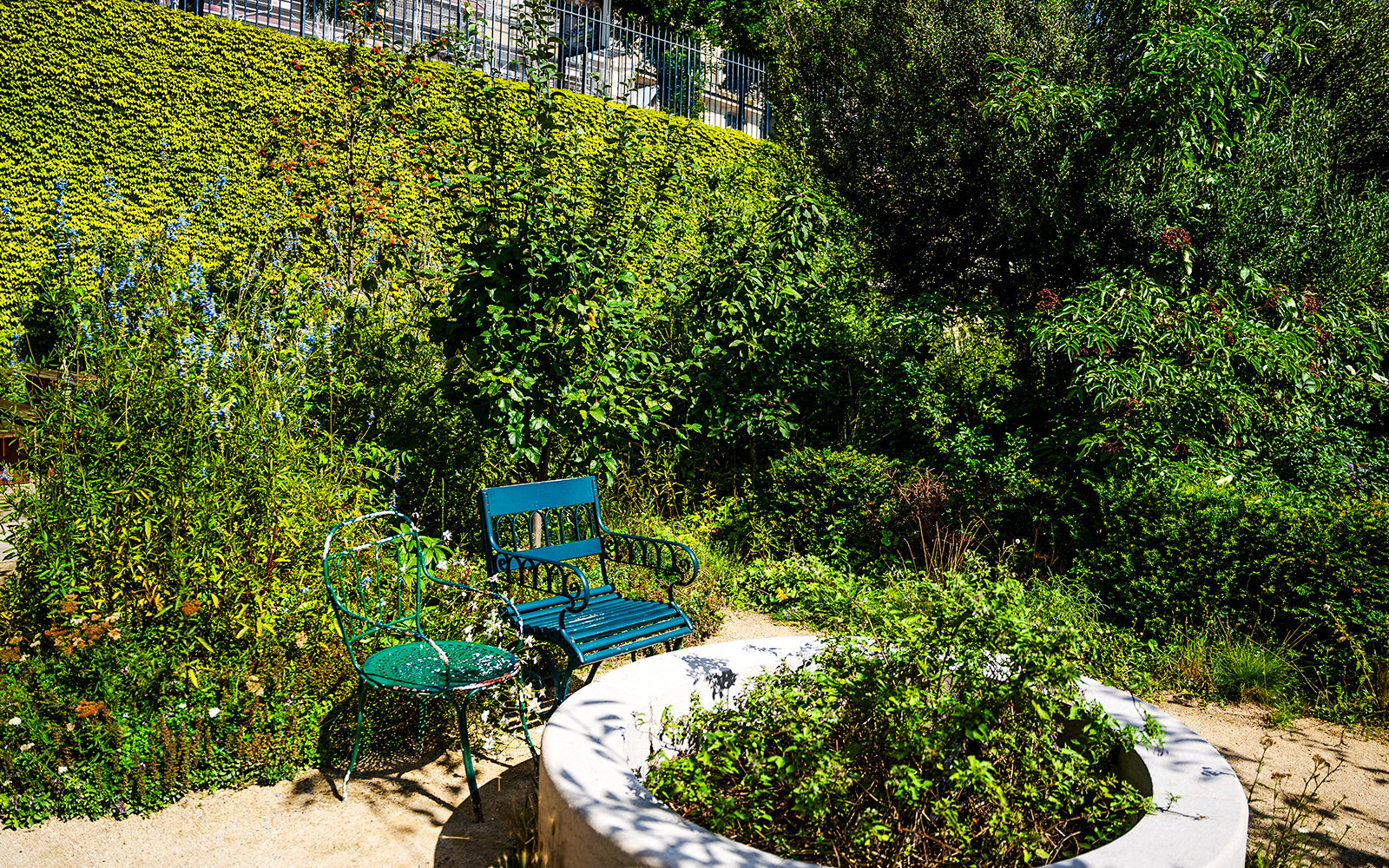Chairs in the lush garden of Maison de Balzac, Paris.