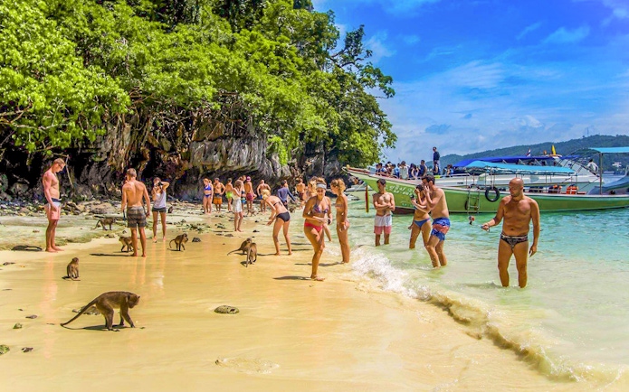 Tourists interacting with monkeys on the beach, Monkey Island, Phi Phi Islands, Thailand.