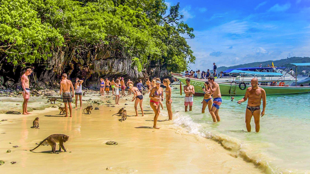 Tourists interacting with monkeys on the beach, Monkey Island, Phi Phi Islands, Thailand.