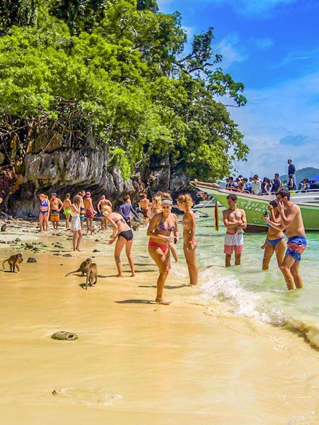 Tourists interacting with monkeys on the beach, Monkey Island, Phi Phi Islands, Thailand.