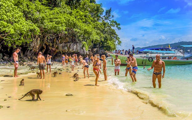 Tourists interacting with monkeys on the beach, Monkey Island, Phi Phi Islands, Thailand.