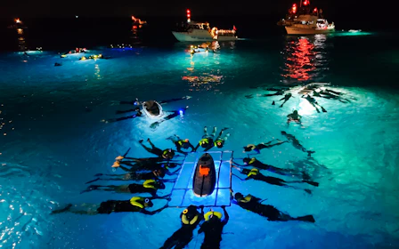 Kona 2.5-Hour Manta Ray Night Snorkeling or Ride-Along Tour