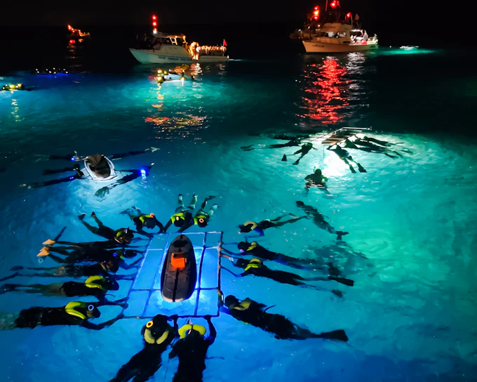 Kona 2.5-Hour Manta Ray Night Snorkeling or Ride-Along Tour (Product 52765)
