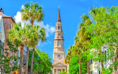 Charleston city tour featuring historic church steeple and palm trees.