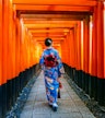 Fushimi, Kyoto Jiyikawa Honpo