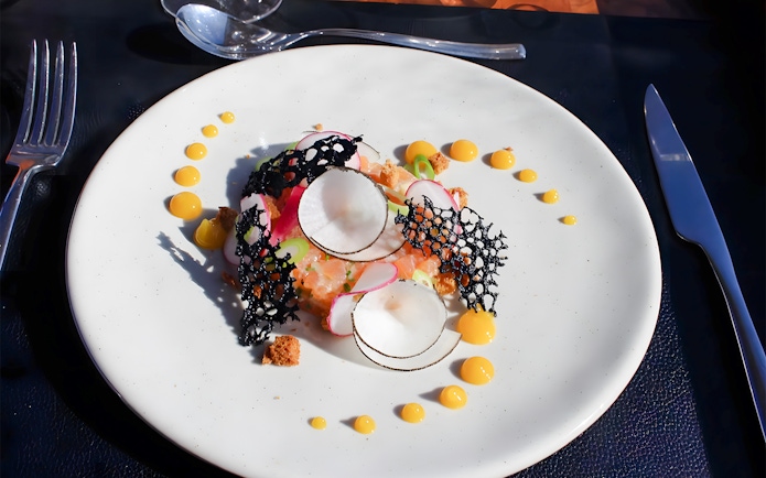 Elegant dish with radish slices and decorative black lace on a white plate, served in Bustronome Paris.
