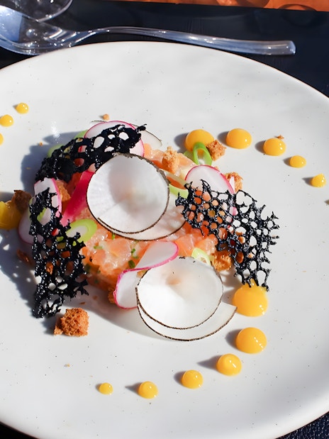 Elegant dish with radish slices and decorative black lace on a white plate, served in Bustronome Paris.