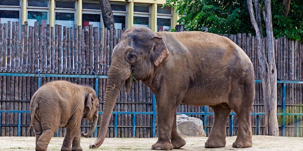 best time to visit budapest