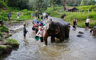 fra chiang mai: elefantreservat og fottur i doi inthanon nasjonalpark-1