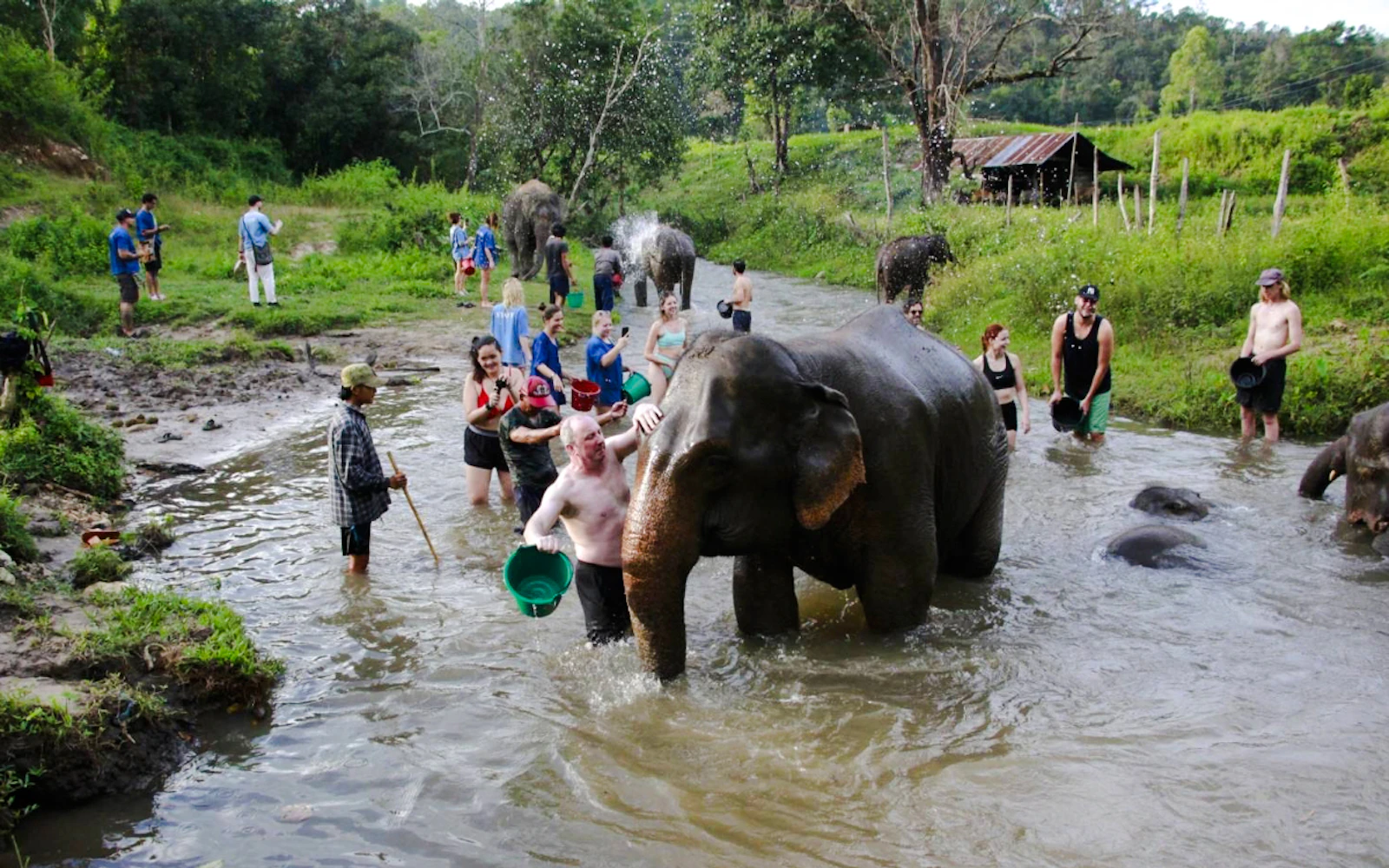 From Chiang Mai: Elephant Sanctuary and Doi Inthanon National Park Hike