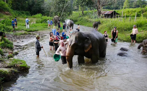 from chiang mai: elephant sanctuary and doi inthanon national park hike-1