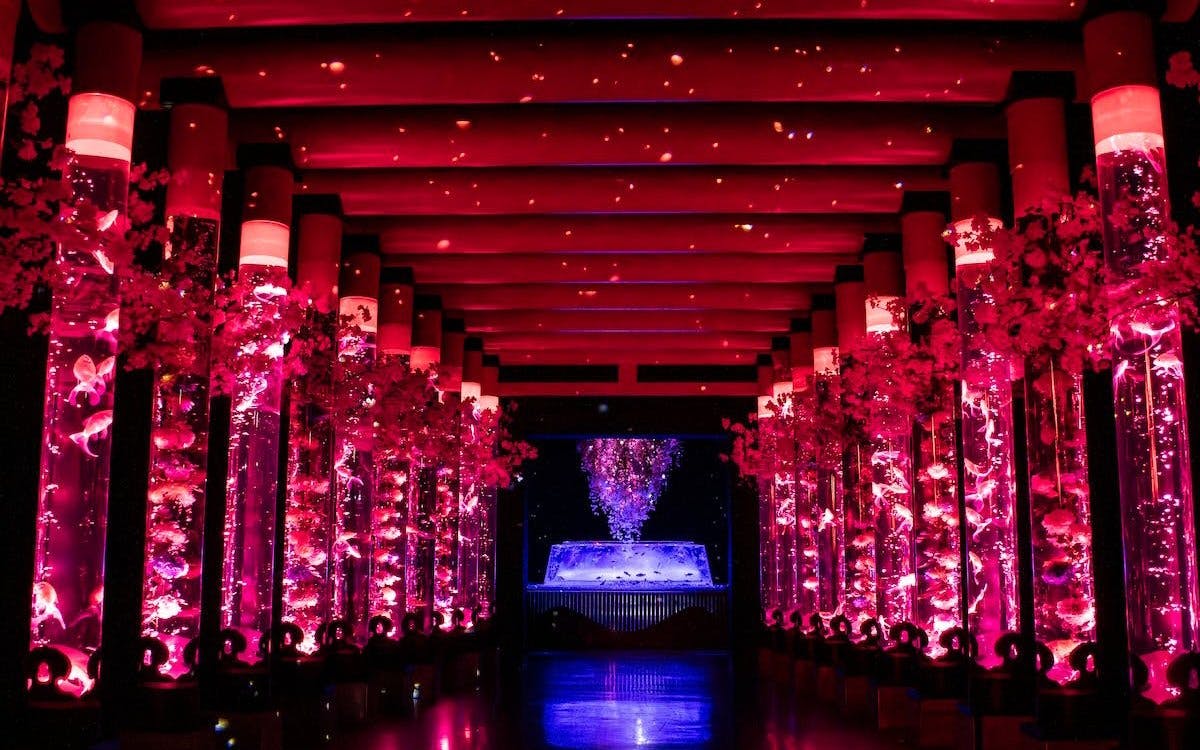Aquarium tanks with colorful fish and lights at Art Aquarium Museum GINZA.