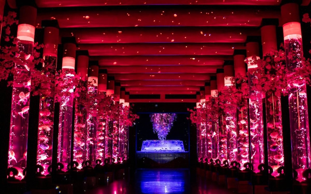 Aquarium tanks with colorful fish and lights at Art Aquarium Museum GINZA.