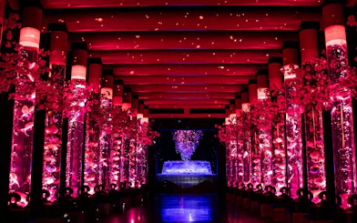 Aquarium tanks with colorful fish and lights at Art Aquarium Museum GINZA.