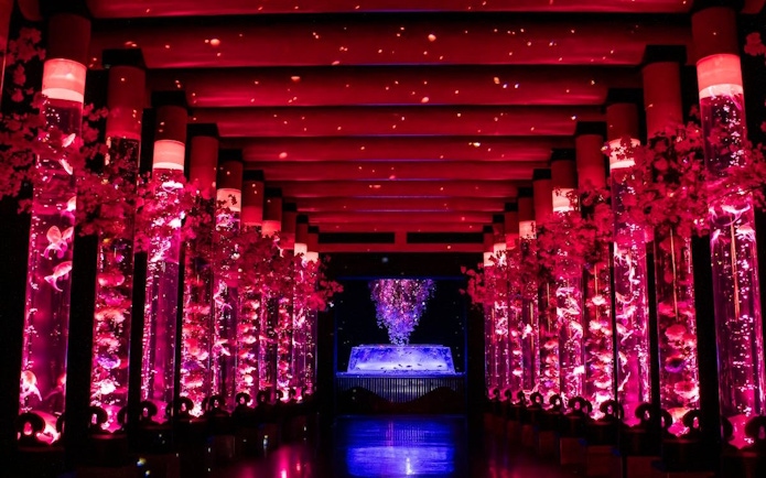 Aquarium tanks with colorful fish and lights at Art Aquarium Museum GINZA.