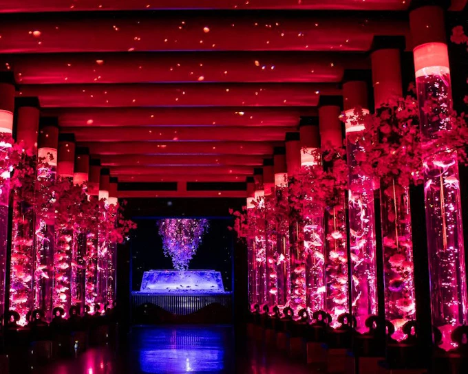 Art Aquarium Museum GINZA Skip-the-Line Pass: Couple & Family Deal (Flash deal for min. 2 guests)