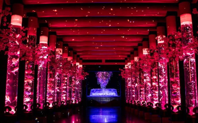Aquarium tanks with colorful fish and lights at Art Aquarium Museum GINZA.