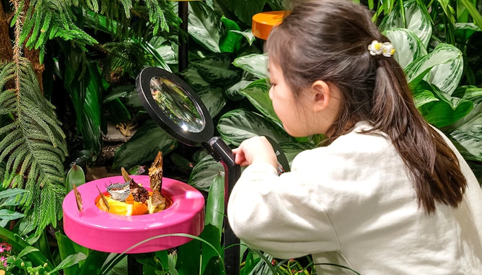 Davis Family Butterfly Vivarium exhibition inside American Museum of Natural History