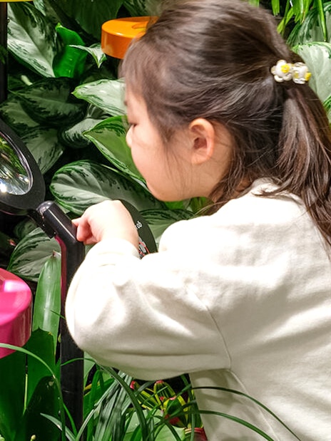 Child observing butterflies with magnifying glass at American Museum of Natural History exhibition.
