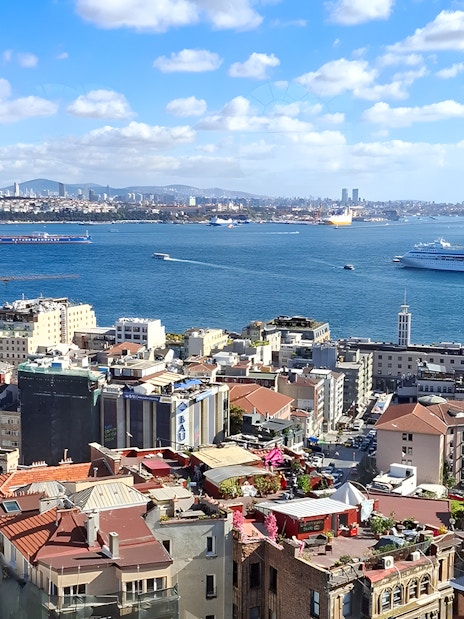 View of Istanbul skyline and Bosphorus from Galata Tower, with ships and cityscape.