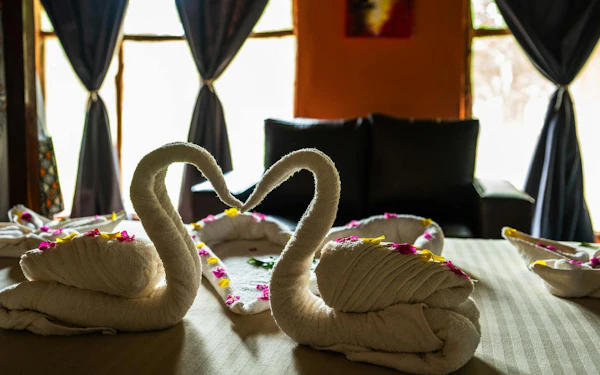 From Zanzibar: 3-Day Nyerere National Park (Selous) Private Safari