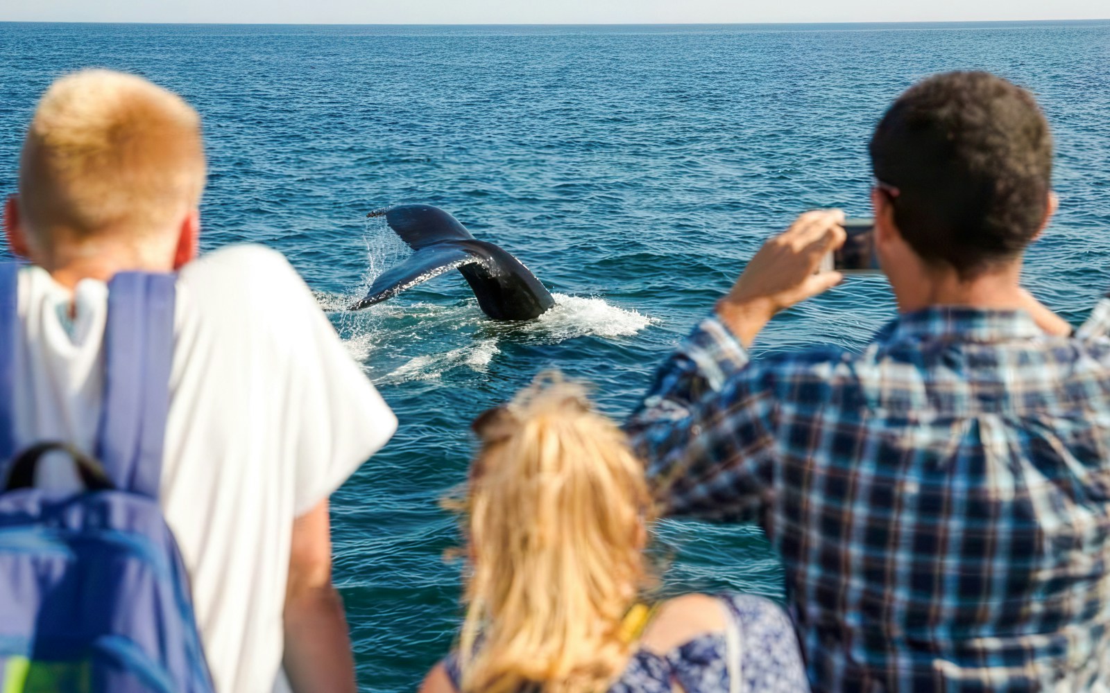 Guests observing whales from a boat on England Aquarium Whale Watching Cruise.