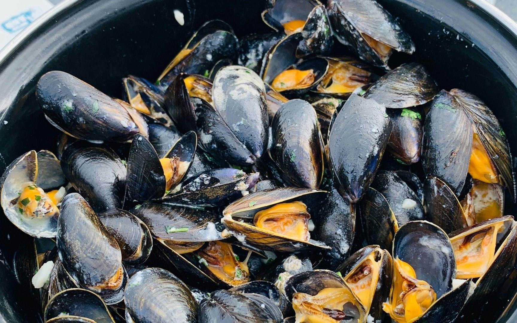 Mussels in a pot from a local farm in Croatia.