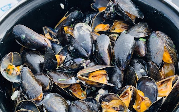 Mussels in a pot from a local farm in Croatia.