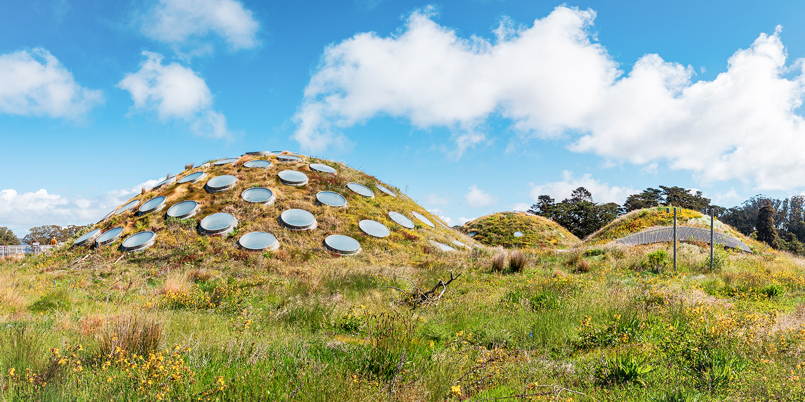 California Academy of Sciences Living Roof with native plants and skylights in San Francisco.