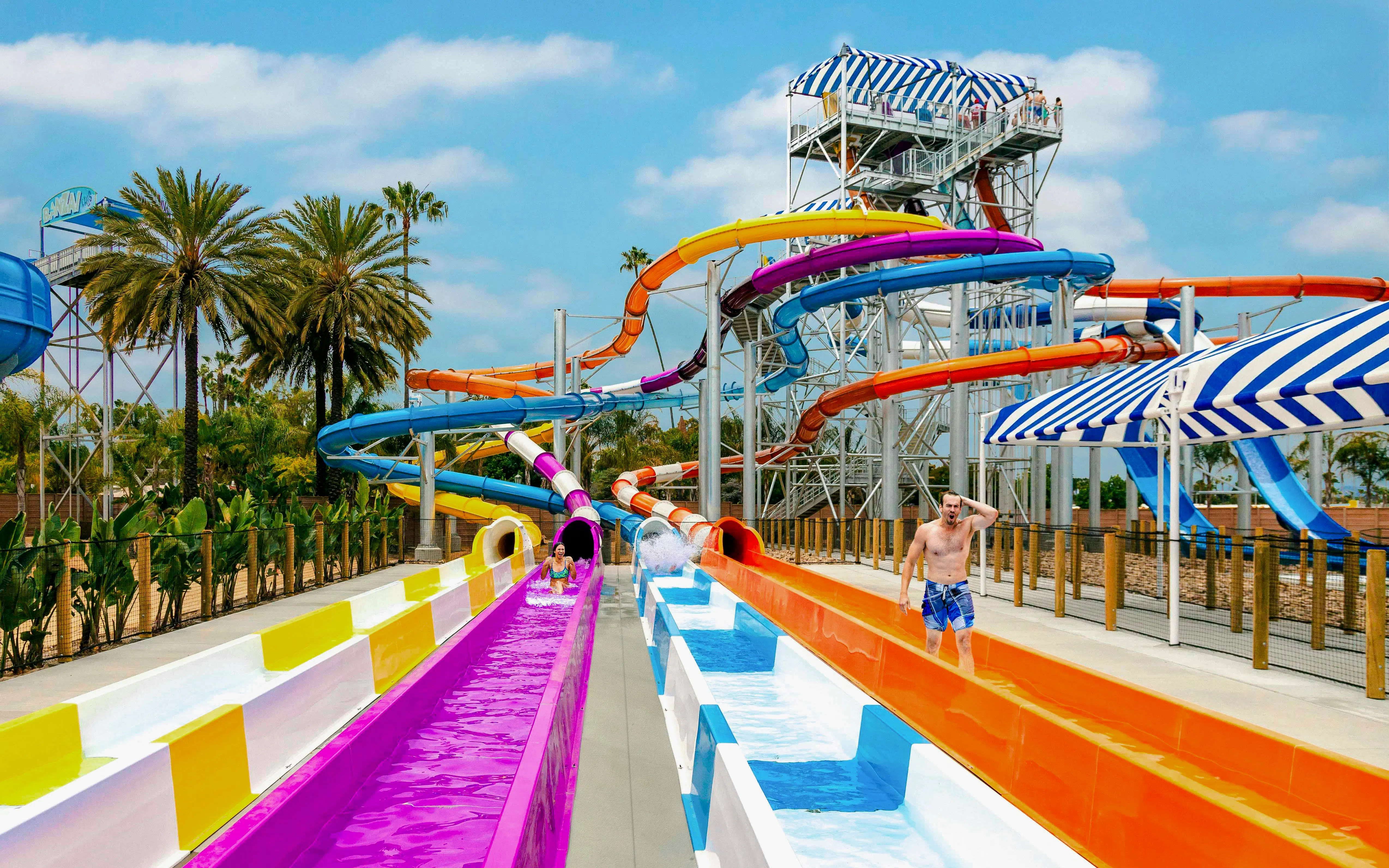 Water slides and palm trees at Knott's Soak City water park.