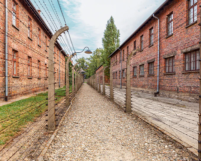 From Krakow: Auschwitz-Birkenau Guided Tour with Hotel Transfers