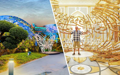 Butterfly Gardens entrance with illuminated butterfly sculpture and geometric dome.