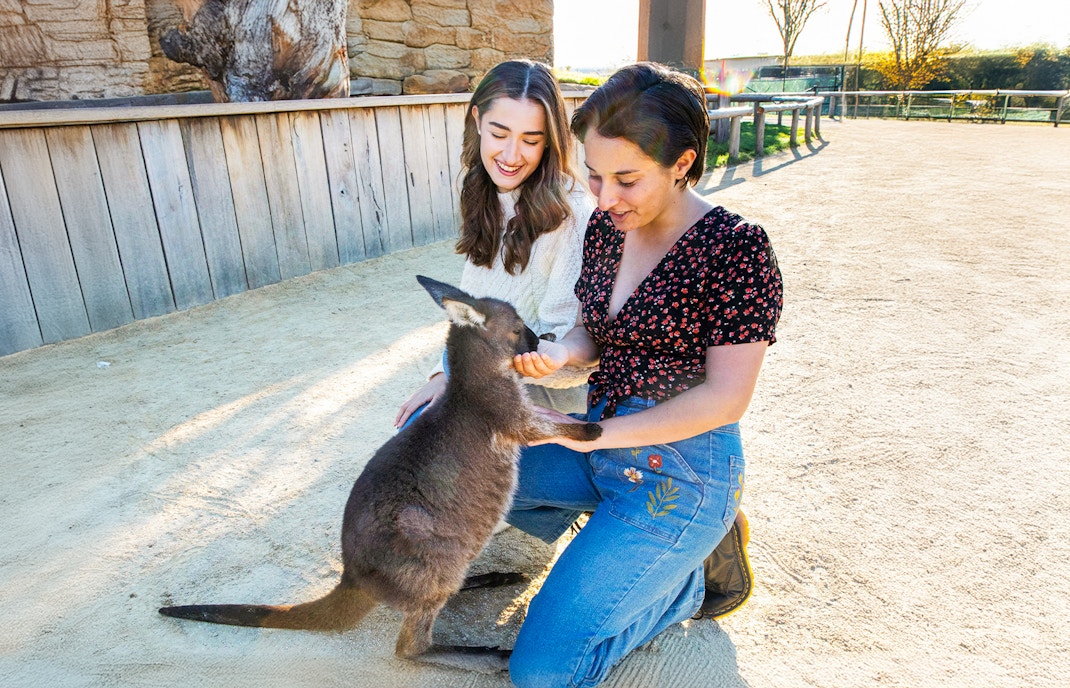 Sydney Zoo Tour