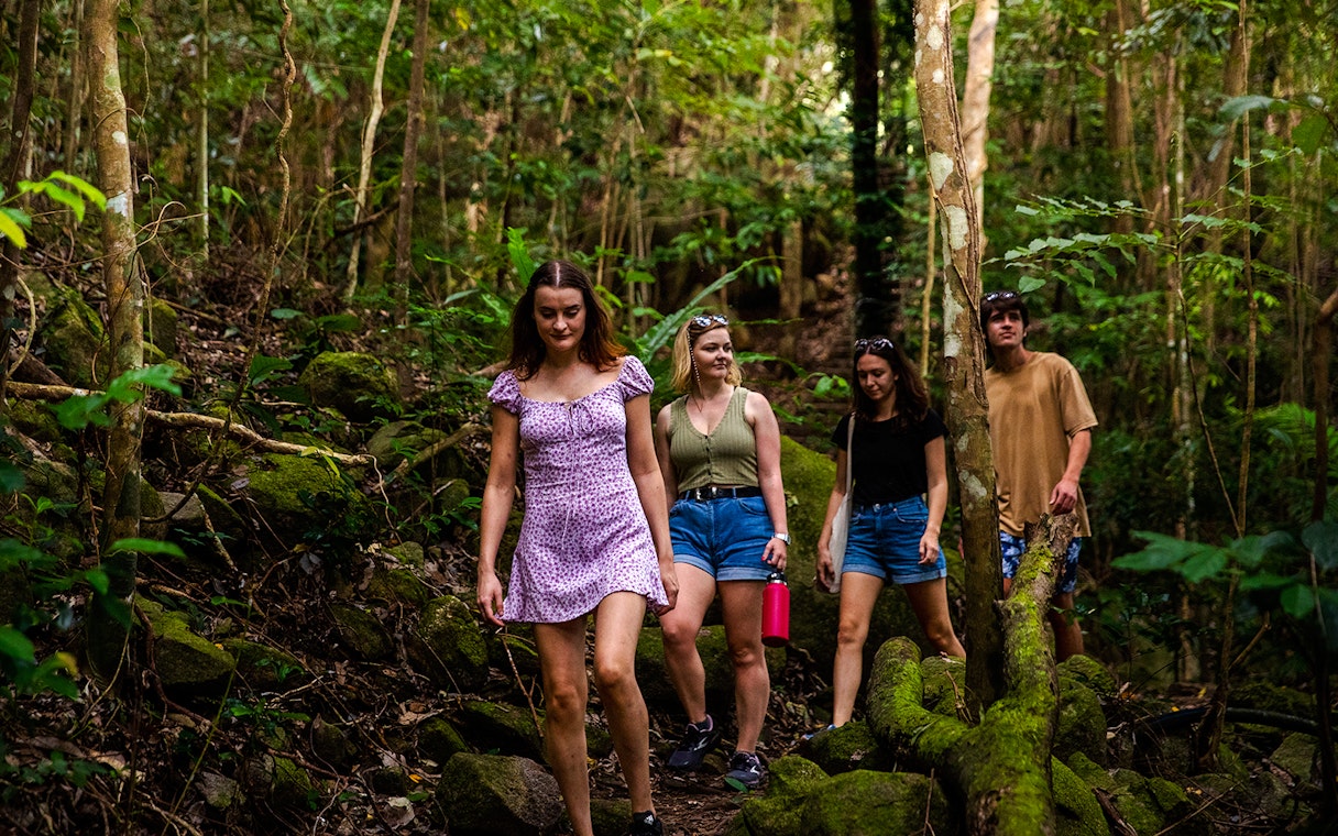 Group hiking through lush forest on Fitzroy Island trail.