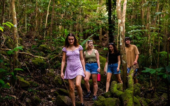 Group hiking through lush forest on Fitzroy Island trail.