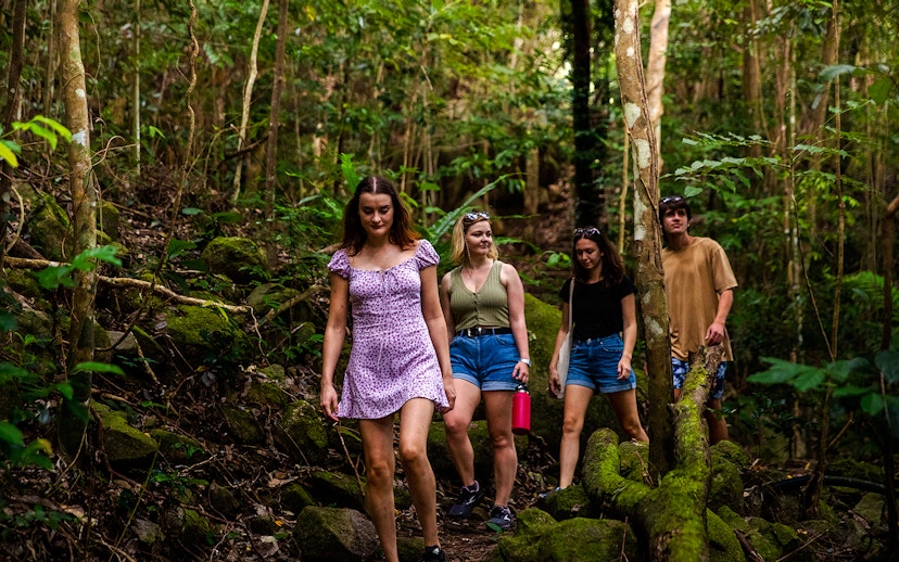 Group hiking through lush forest on Fitzroy Island trail.
