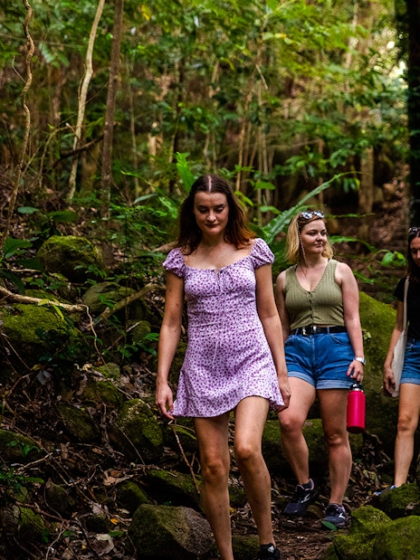 Group hiking through lush forest on Fitzroy Island trail.