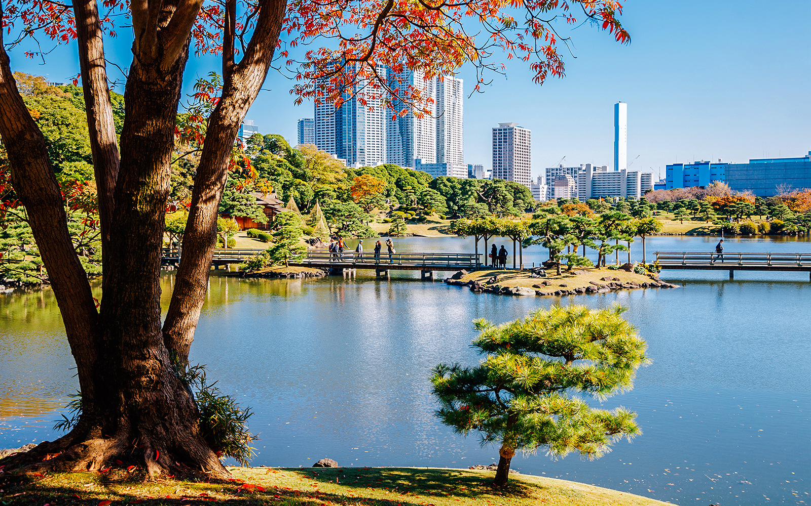 Hamarikyu Gardens in Tokyo with a pond, bridge, and city skyline in the background.