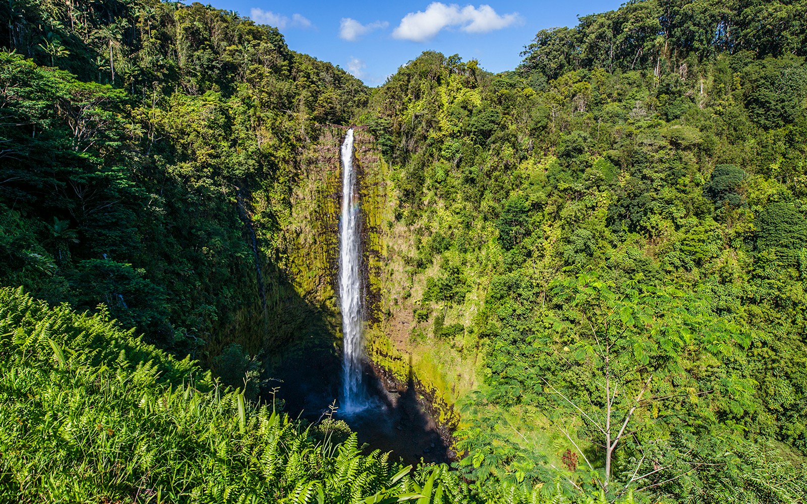 Akaka Falls State Park