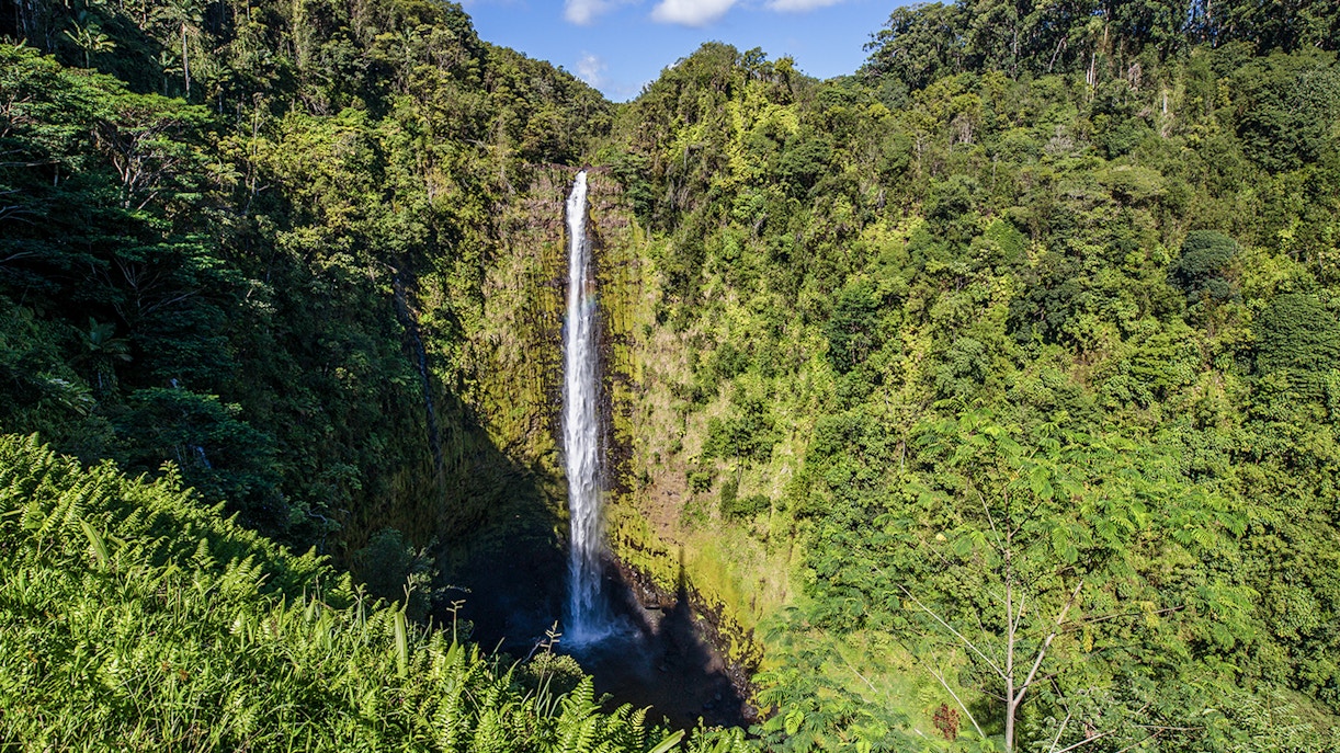 Akaka Falls cascading through lush greenery on the Big Island, Hawaii.
