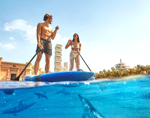 Aquaventure Dolphin Experience Tickets