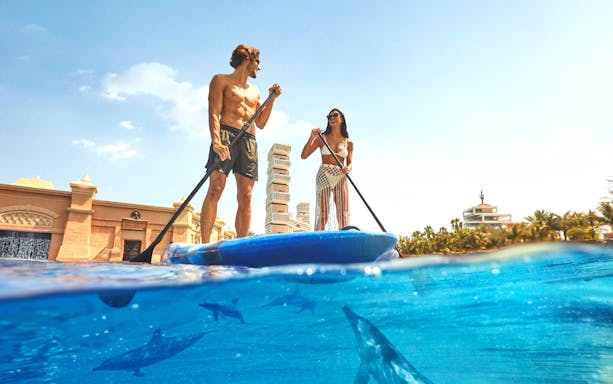 Paddleboarding at Atlantis The Palm with dolphins swimming below.