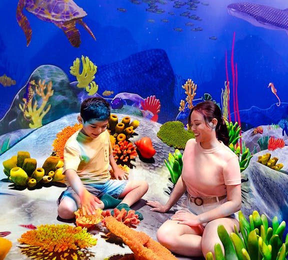 Curiosity Cove Card